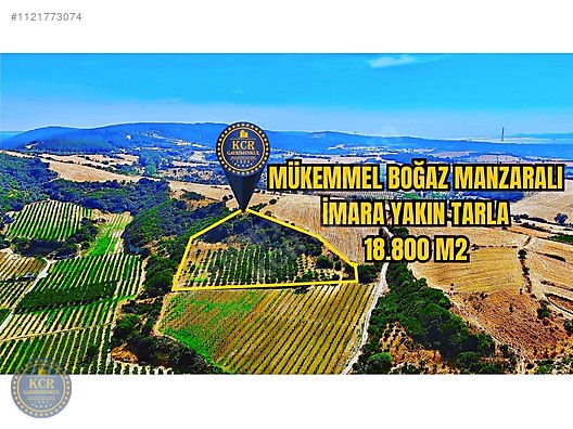 Featured Image